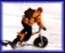 SHISTERBIKE BDD