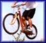 SHISTERBIKE F1